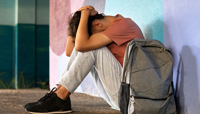 Diplomatura Escuela, Bullying Y Salud Mental